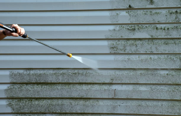 Best Driveway Pressure Washing  in Orion, IL