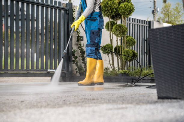 Best Dumpster Area Cleaning  in Orion, IL