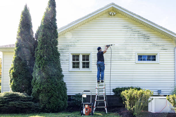 Best Graffiti Removal  in Orion, IL